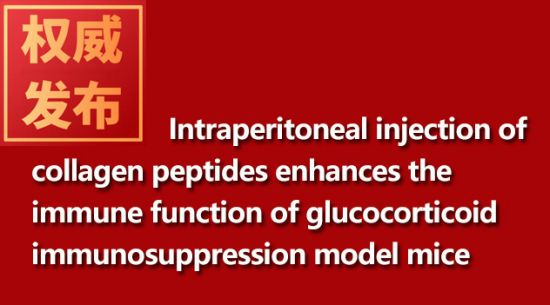 Intraperitoneal injection of collagen peptides enhances the immune function of glucocorticoid immuno