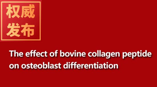 The effect of bovine collagen peptide on osteoblast differentiation