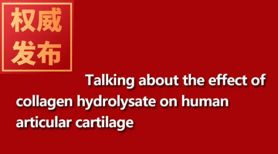 Talking about the effect of collagen hydrolysate on human articular cartilage